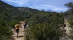photo thumbnail #3