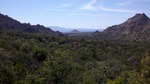photo thumbnail #7