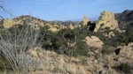 photo thumbnail #9