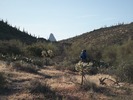 photo thumbnail #7