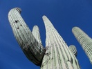 photo thumbnail #13