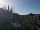 photo thumbnail #14
