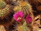 photo thumbnail #5