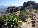 photo thumbnail #3