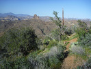 photo thumbnail #14
