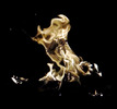 photo thumbnail #15