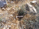 photo thumbnail #3