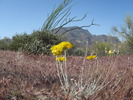 photo thumbnail #2