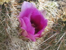 photo thumbnail #11