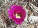 photo thumbnail #14