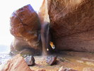 photo thumbnail #12