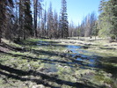 photo thumbnail #8