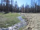 photo thumbnail #11