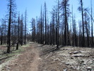 photo thumbnail #3