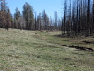 photo thumbnail #5