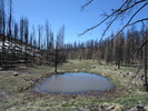 photo thumbnail #7