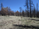 photo thumbnail #8