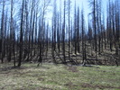 photo thumbnail #9