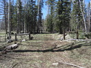 photo thumbnail #10