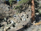 photo thumbnail #6