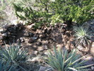 photo thumbnail #7