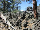 photo thumbnail #2