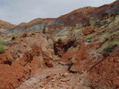 photo thumbnail #7