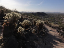 photo thumbnail #3