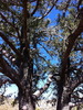 photo thumbnail #8