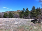 photo thumbnail #12