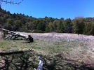 photo thumbnail #13