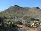 photo thumbnail #1
