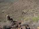 photo thumbnail #11
