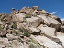 photo thumbnail #2