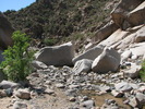 photo thumbnail #4