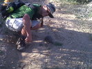 photo thumbnail #4