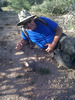 photo thumbnail #2