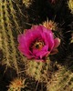 photo thumbnail #8