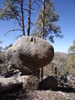 photo thumbnail #2