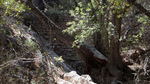 photo thumbnail #12