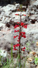 photo thumbnail #15