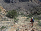 photo thumbnail #6