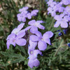 photo thumbnail #4