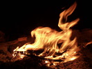 photo thumbnail #9