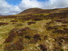 photo thumbnail #12