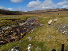 photo thumbnail #13