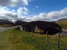 photo thumbnail #15