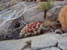 photo thumbnail #9