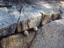 photo thumbnail #15