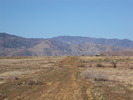 photo thumbnail #14